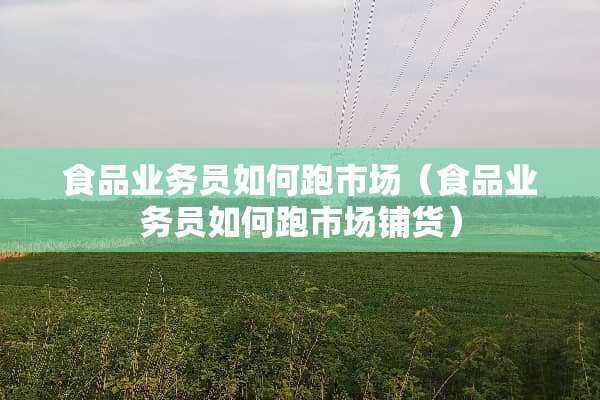 食品业务员如何跑市场（食品业务员如何跑市场铺货）