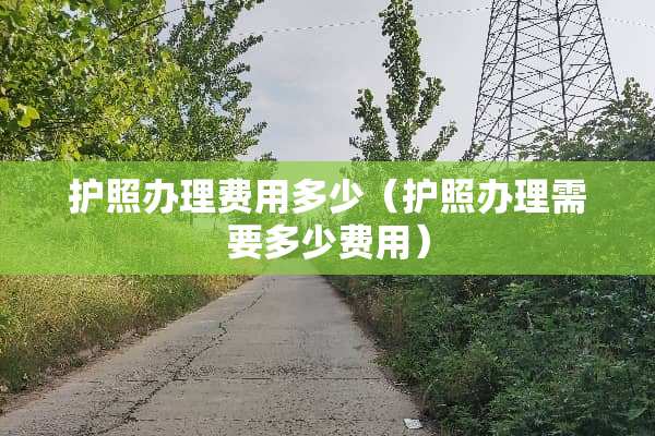 护照办理费用多少（护照办理需要多少费用）