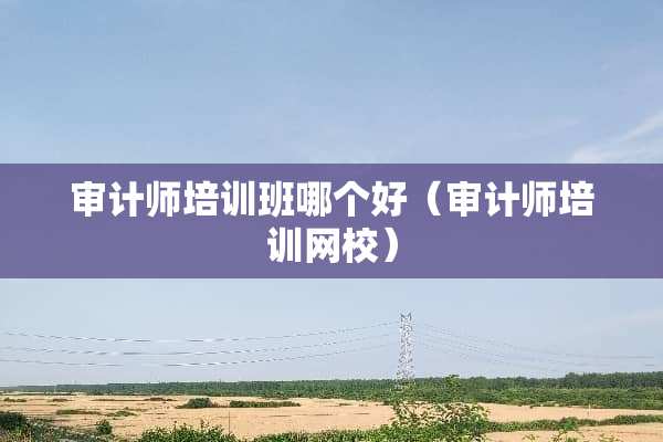审计师培训班哪个好（审计师培训网校）