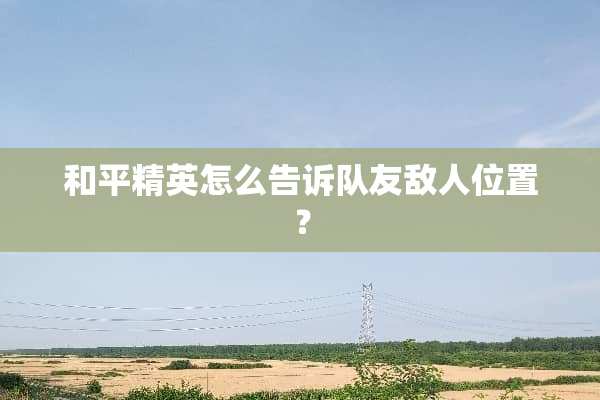 和平精英怎么告诉队友敌人位置？