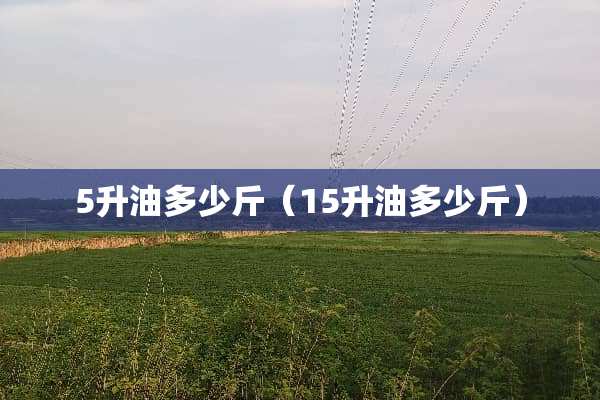 5升油多少斤（15升油多少斤）