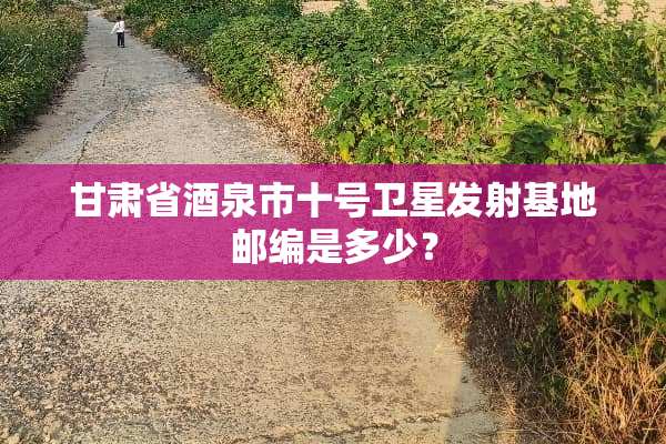 甘肃省酒泉市十号卫星发射基地邮编是多少？