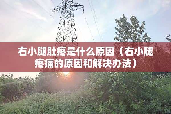 右小腿肚疼是什么原因（右小腿疼痛的原因和解决办法）