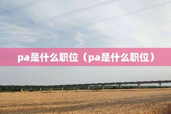 pa是什么职位（pa是什么职位）