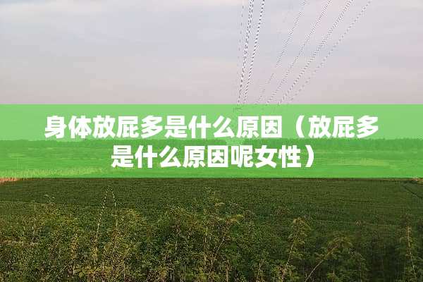 身体放屁多是什么原因（放屁多是什么原因呢女性）