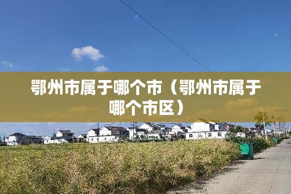 鄂州市属于哪个市（鄂州市属于哪个市区）