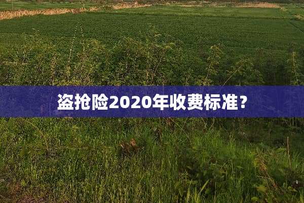 盗抢险2020年收费标准？
