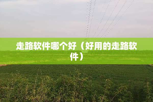 走路软件哪个好（好用的走路软件）