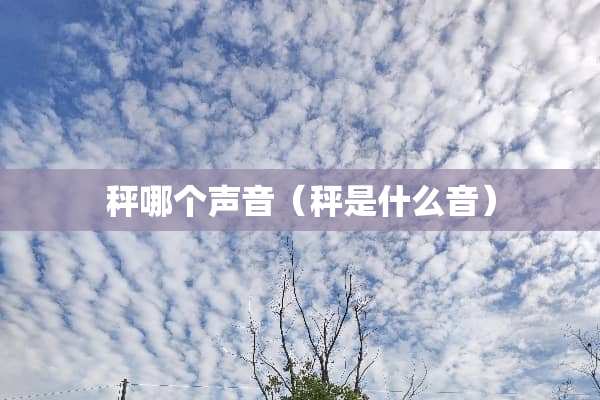 秤哪个声音（秤是什么音）