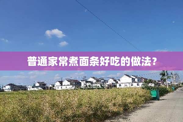 普通家常煮面条好吃的做法？
