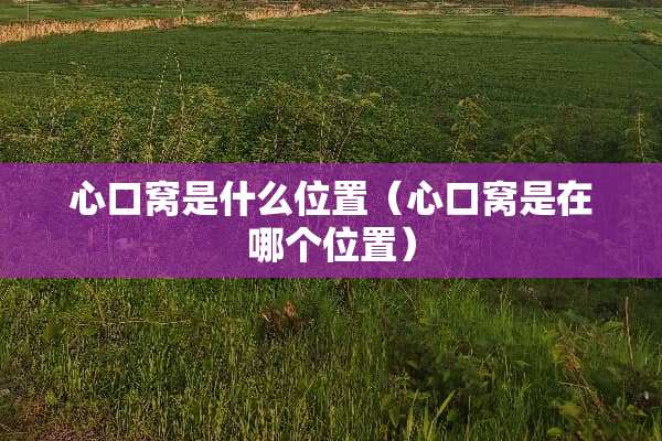 心口窝是什么位置（心口窝是在哪个位置）