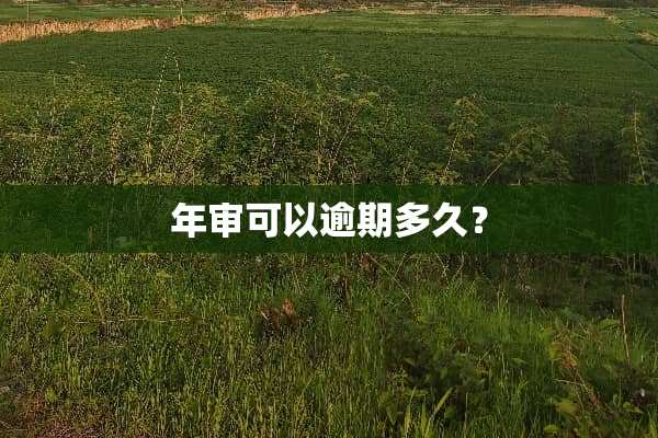 年审可以逾期多久？