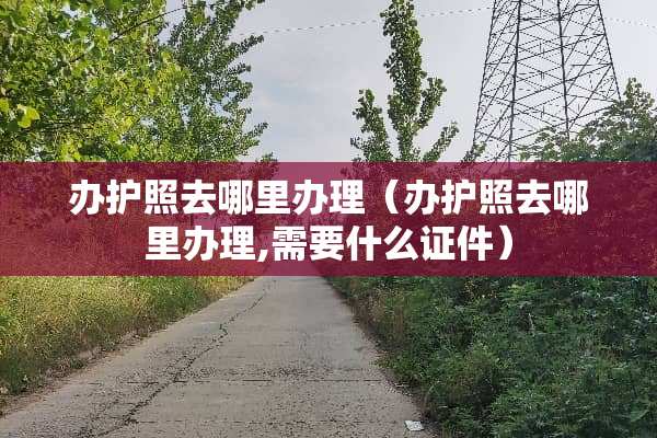 办护照去哪里办理（办护照去哪里办理,需要什么证件）