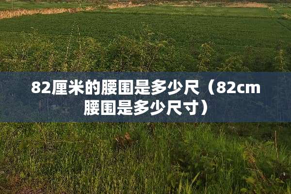 82厘米的腰围是多少尺（82cm腰围是多少尺寸）