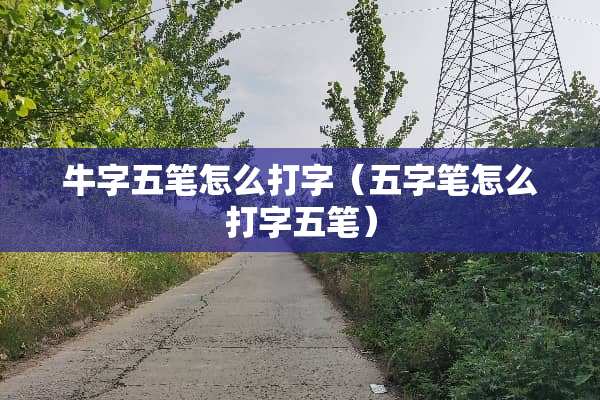 牛字五笔怎么打字（五字笔怎么打字五笔）