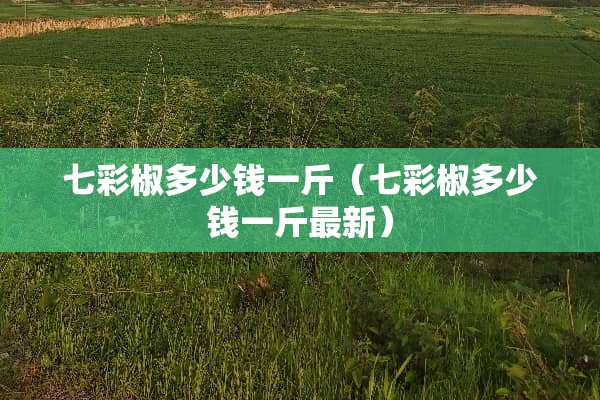 七彩椒多少钱一斤（七彩椒多少钱一斤最新）