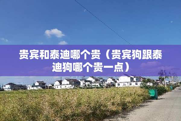 贵宾和泰迪哪个贵（贵宾狗跟泰迪狗哪个贵一点）
