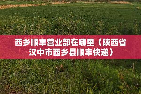 西乡顺丰营业部在哪里（陕西省汉中市西乡县顺丰快递）