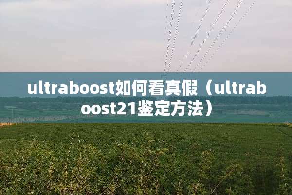 ultraboost如何看真假（ultraboost21鉴定方法）