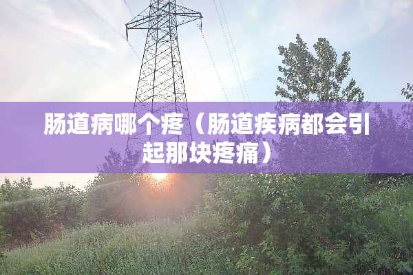 肠道病哪个疼（肠道疾病都会引起那块疼痛）