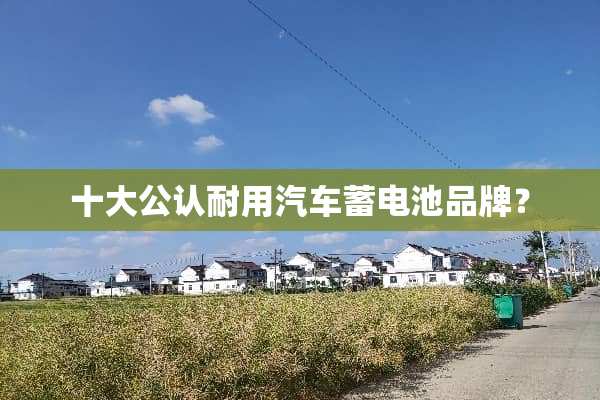 十大公认耐用汽车蓄电池品牌？