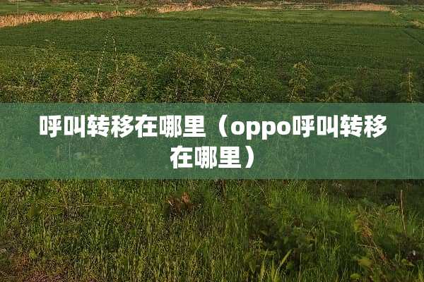呼叫转移在哪里（oppo呼叫转移在哪里）