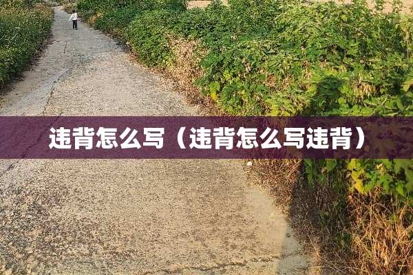 违背怎么写（违背怎么写违背）