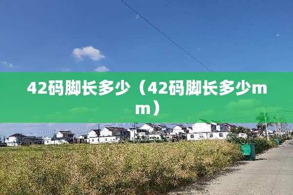 42码脚长多少（42码脚长多少mm）