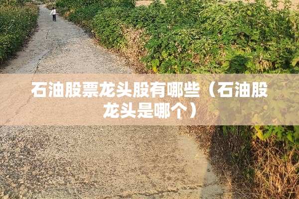 石油股票龙头股有哪些（石油股龙头是哪个）