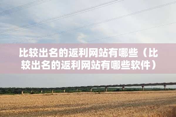 比较出名的返利网站有哪些（比较出名的返利网站有哪些软件）