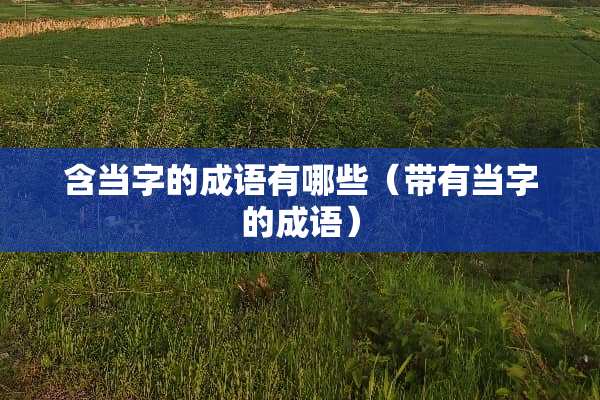 含当字的成语有哪些（带有当字的成语）