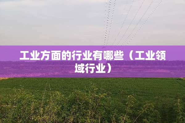 工业方面的行业有哪些（工业领域行业）