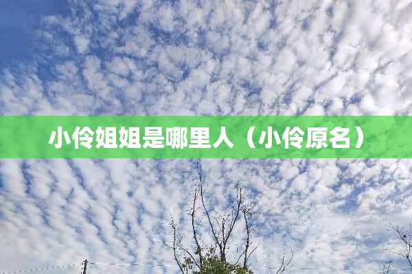 小伶姐姐是哪里人（小伶原名）