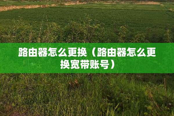 路由器怎么更换（路由器怎么更换宽带账号）