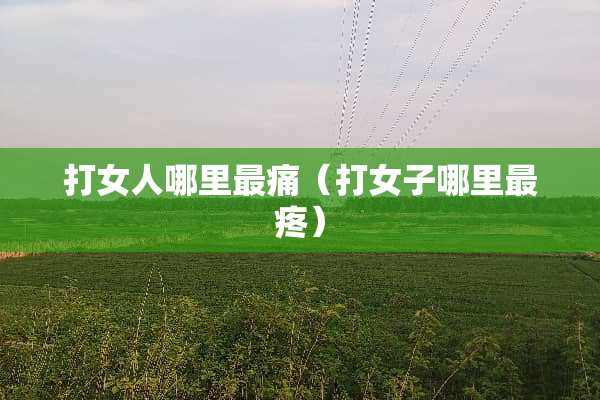 打女人哪里最痛（打女子哪里最疼）
