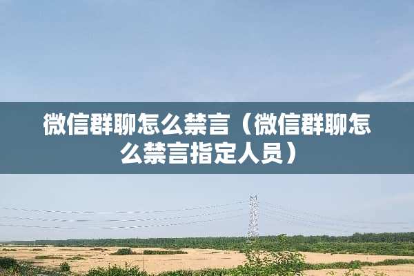 微信群聊怎么禁言（微信群聊怎么禁言指定人员）