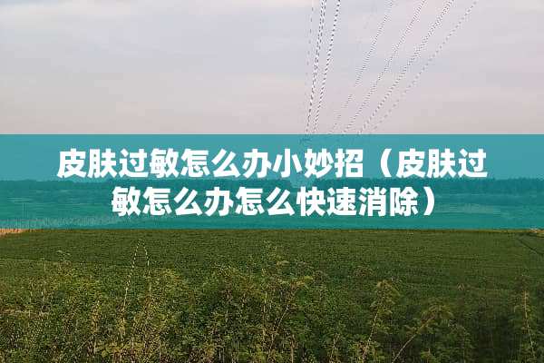 皮肤过敏怎么办小妙招（皮肤过敏怎么办怎么快速消除）