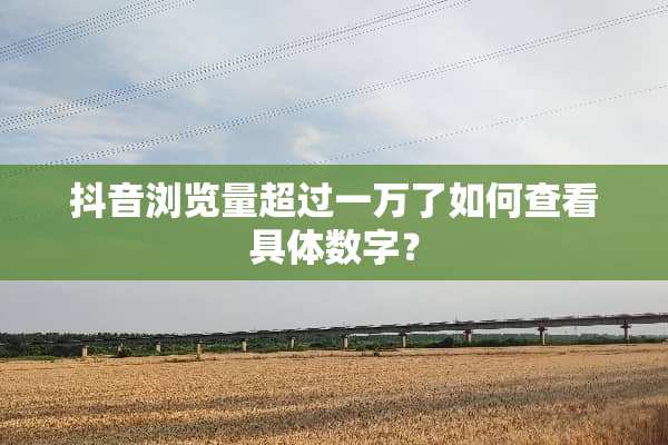 抖音浏览量超过一万了如何查看具体数字？