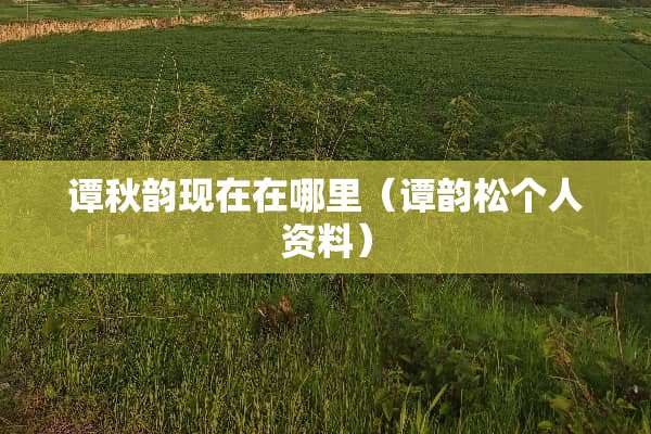 谭秋韵现在在哪里（谭韵松个人资料）