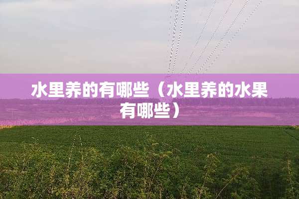 水里养的有哪些（水里养的水果有哪些）