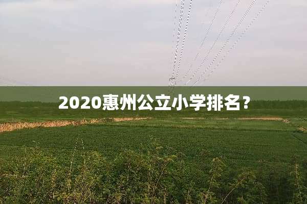 2020惠州公立小学排名？