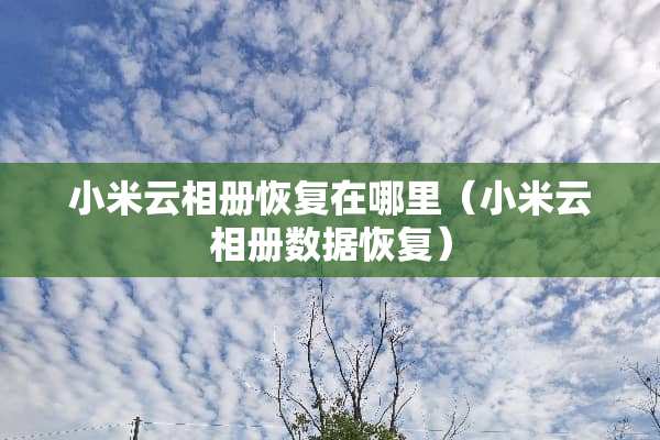 小米云相册恢复在哪里（小米云相册数据恢复）