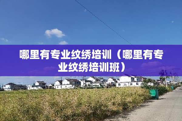 哪里有专业纹绣培训（哪里有专业纹绣培训班）