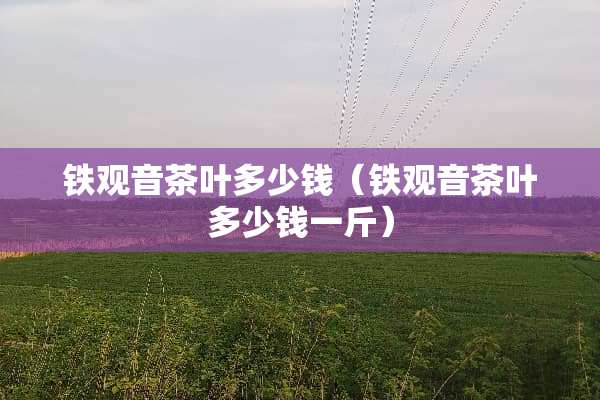 铁观音茶叶多少钱（铁观音茶叶多少钱一斤）