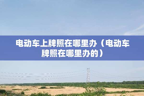 电动车上牌照在哪里办（电动车牌照在哪里办的）