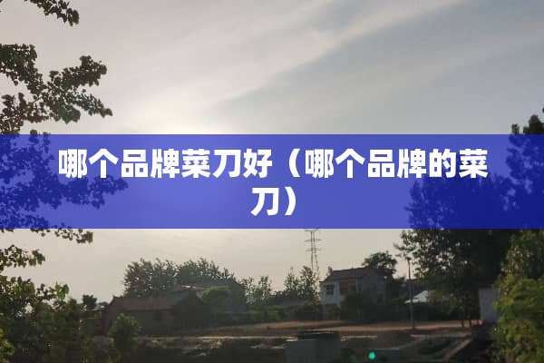 哪个品牌菜刀好（哪个品牌的菜刀）