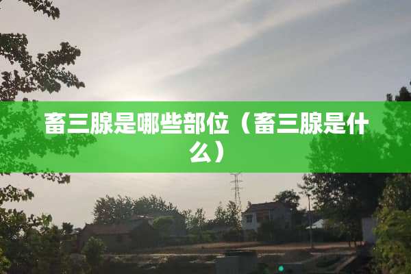 畜三腺是哪些部位（畜三腺是什么）