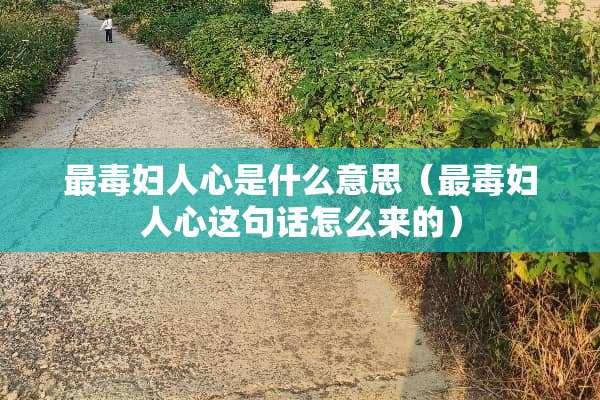 最毒妇人心是什么意思（最毒妇人心这句话怎么来的）