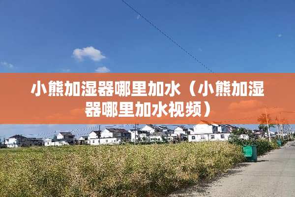小熊加湿器哪里加水（小熊加湿器哪里加水视频）