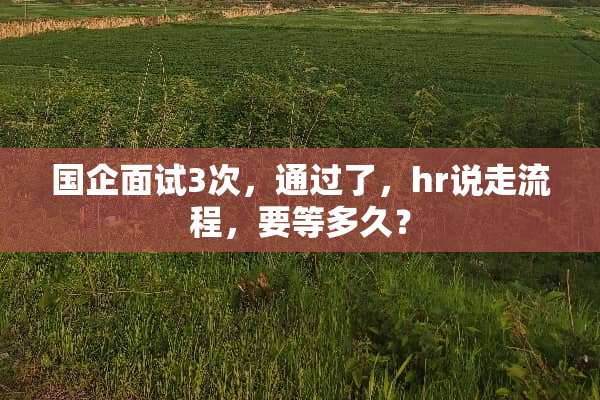 国企面试3次，通过了，hr说走流程，要等多久？